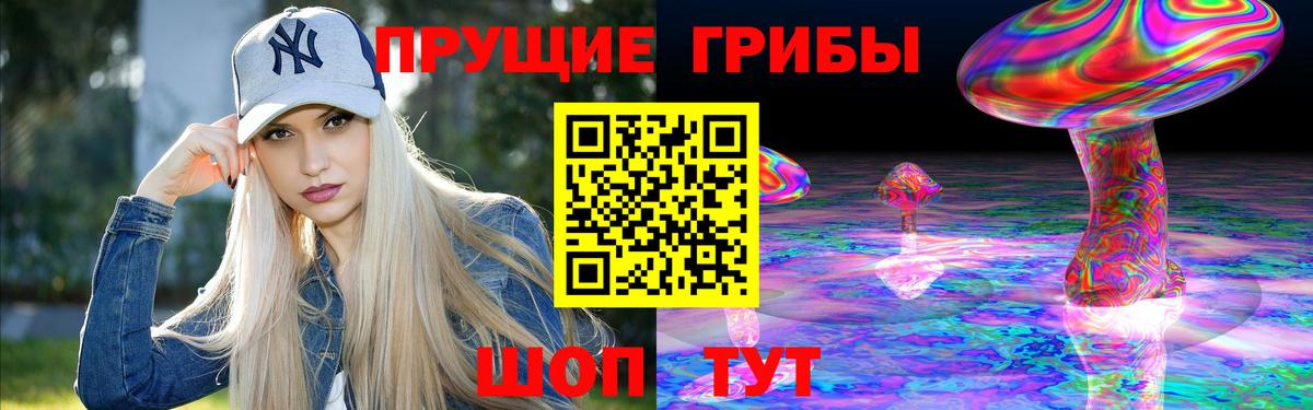 Псилоцибиновые грибы MAGIC MUSHROOMS  Вход с VPN  Добрянка 